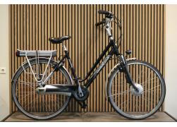 Gazelle Goldline
